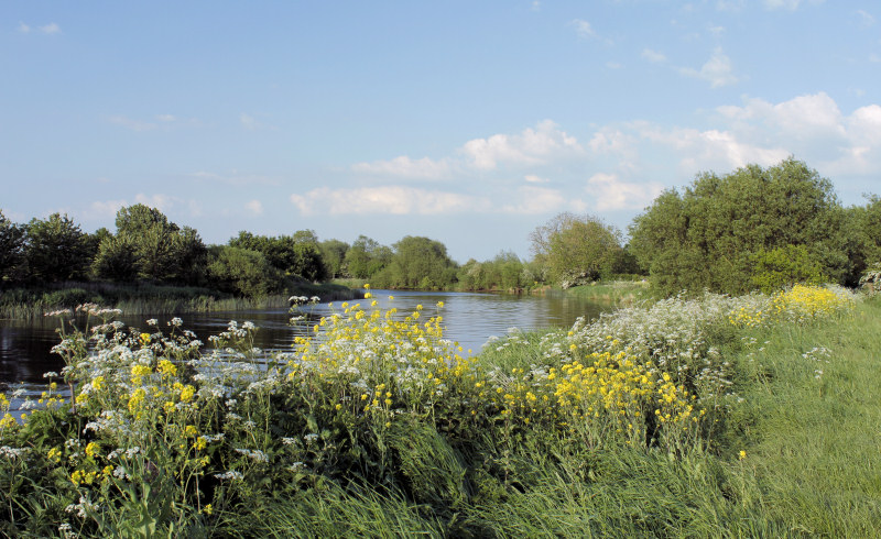 River Trent River Trent